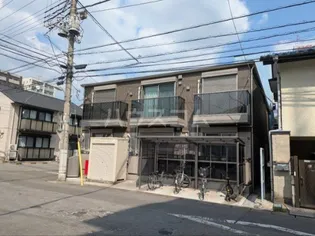MONSTERAの画像