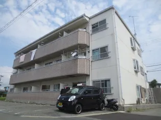 コスモグレイスIの画像