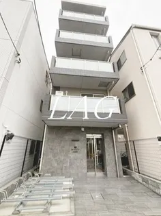 MAXIV蓮根の画像
