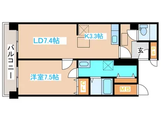 しんたくハイツ南大通【4階】の間取り