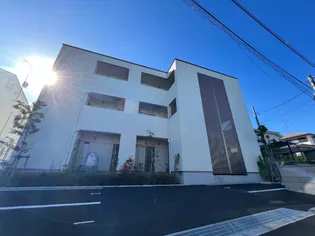 プラシードの画像