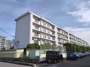 白幡西住宅2号棟の画像