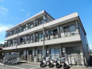 ビーグル花園の画像