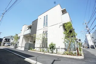 ベルグリシーヌの画像