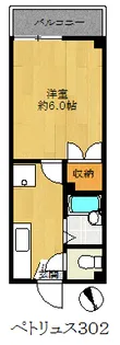 ペトリュス【3階】の間取り