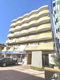 UMU NEW WING IIの画像