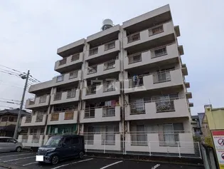 STELLA GARDEN水戸白梅の画像