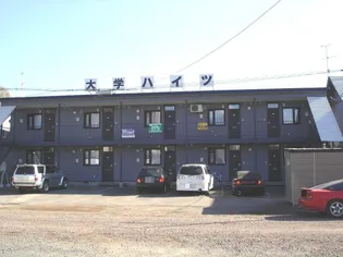 大学ハイツ【1階】の外観