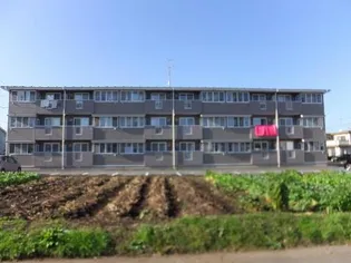 キャトルセゾン【1階】の外観