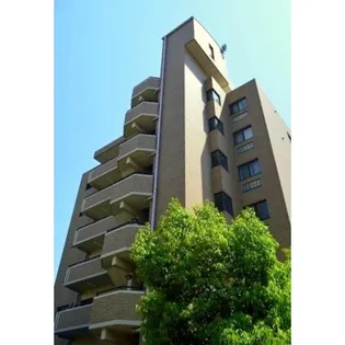 メゾン共栄【7階】の外観