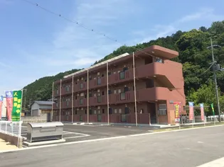 ソレイユ51の画像