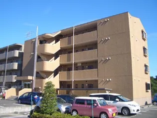 アソシアの画像