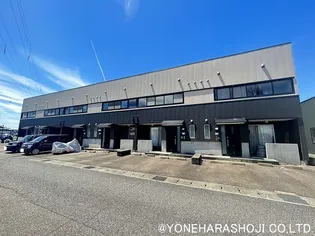 ステラ桂の画像