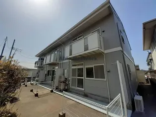 カーサ ハル美の画像