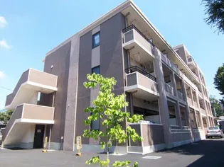 ヴァン ヴェールの画像