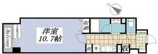 メゾン ド ヴィレ日本橋中洲【10階】の間取り