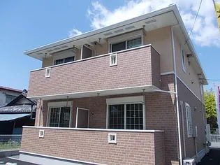 プリムローズの画像