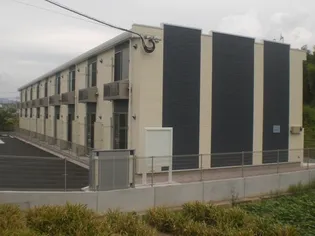 レオネクストラーラⅡの画像