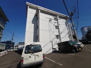 南平岸MS【3階】の外観