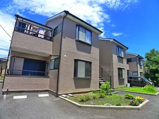 ふぉれすとわか葉の画像