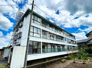 サンシャイン糺の画像