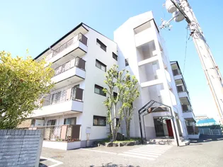 ESPERANZA NISHIMURAの画像