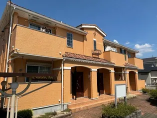 オレンジソーワの画像