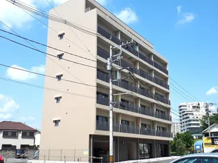 かわせみの画像