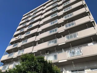 チェスターハウス川口【7階】の外観