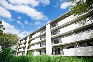 いろどりの杜 ーHANDSーON VILLAGEーの画像