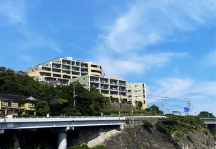 アデニウム真鶴の画像