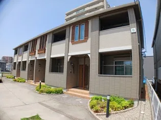 ココペリⅡの画像