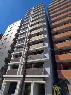 ライトテラス上野の画像