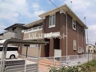 ニューグレイスの画像