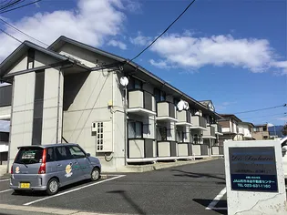 ディスサンタリオの画像