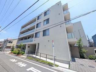 チャープフォレストの画像