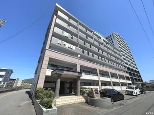 セトルヌーヴォの画像