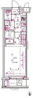 ベルシード板橋ノース【5階】の間取り