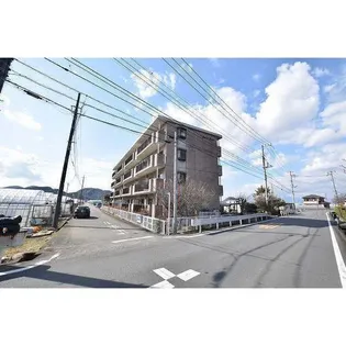ベルローズの画像