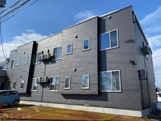 アスターの画像