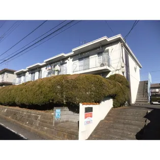 サンホワイトMの画像