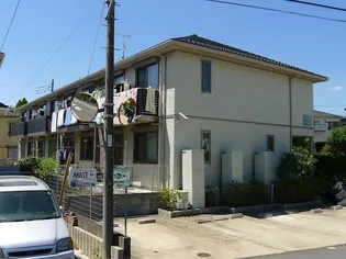 パスティーナの画像