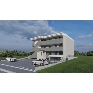 ロビニア若草の画像