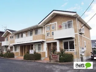 COTTON HILLSの画像