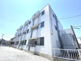 オーシャンブルーの画像