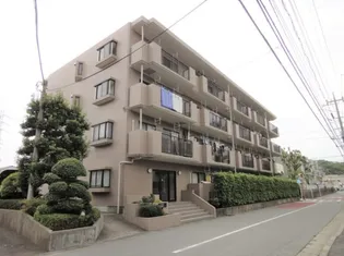 ドミール オークの画像