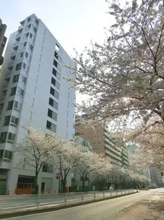 グランディオール広尾テラス【2階】の外観