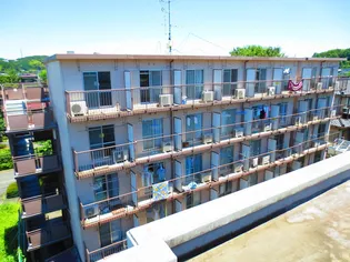 ハイツアベニューA【4階】の外観