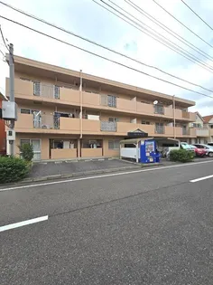 アムールチュラの画像