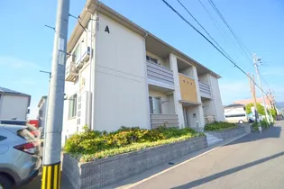 ブルートップの画像